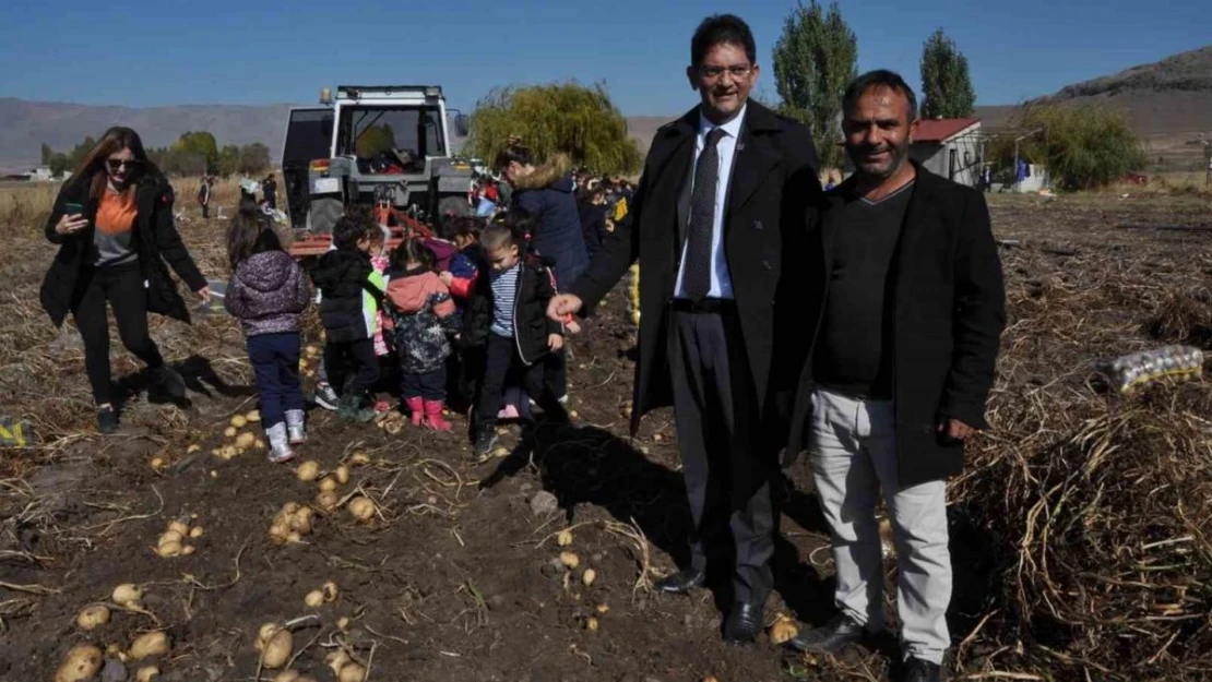 Ticaret Borsası Başkanı Oral, öğrenciler ile birlikte patates hasadına katıldı