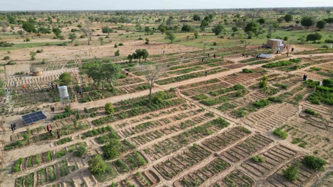 TİKA Nijer'de 100 kadın yararına sebze ve moringa üretim bahçesi kurdu