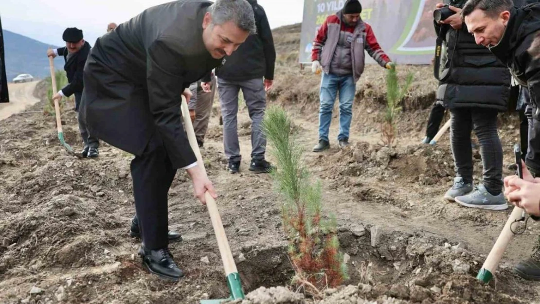 Tokat Belediyesi 10 yılda 260 bin fidanı toprakla buluşturdu