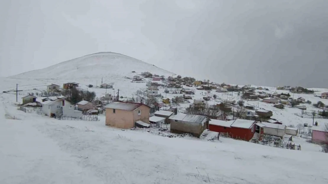 Tokat'ta kar yağışı etkili oldu