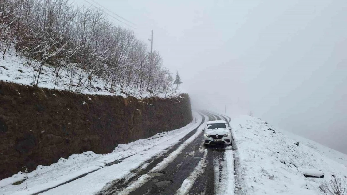 Trabzon'da kar yağışı yüksek kesimlerde etkili oluyor