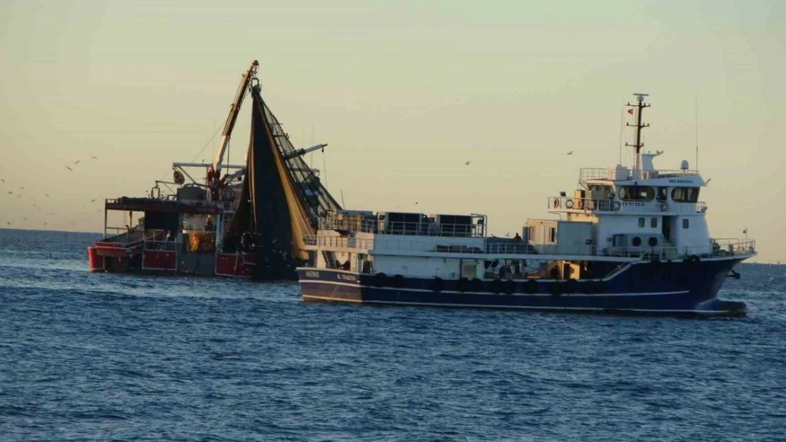 Trabzon'dan 1 Ocak'ta Gürcistan'a hamsi avına gidecekler