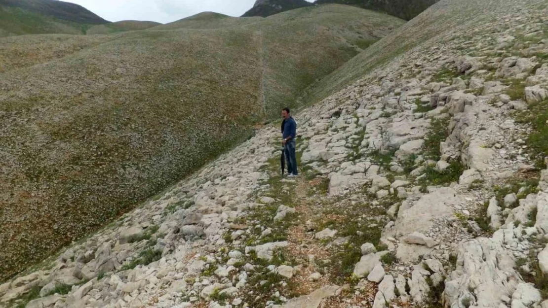 Tunceli'de, 3 bin yıl önceye ait olduğu düşünülen yol bulundu