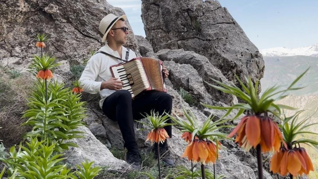 Tunceli'de koruma altındaki ters laleler çiçeğe durdu