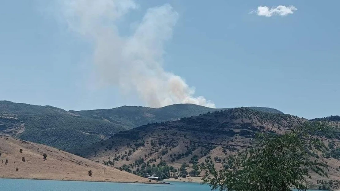 Tunceli'de orman yangını