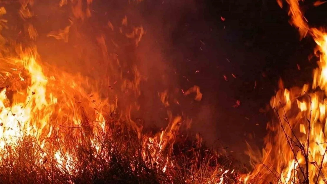 Tunceli'de otluk ve ağaçlık alanda yangın