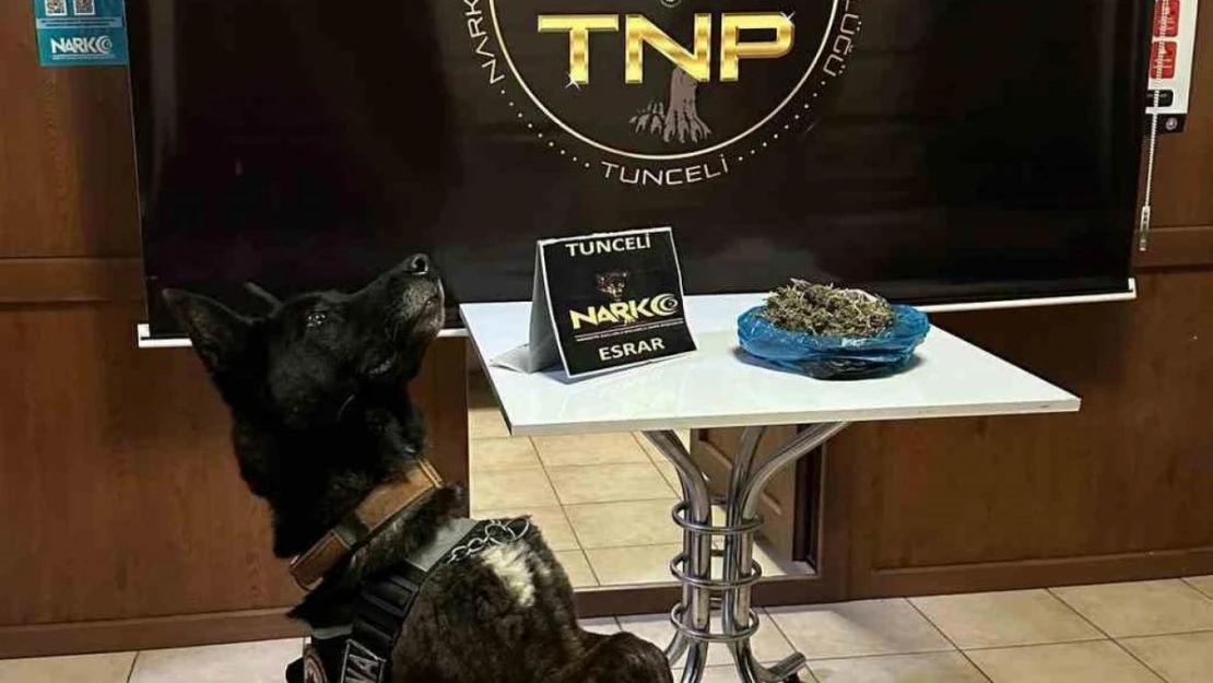 Tunceli'de zehir tacirleri, 'Fırtına'dan kaçamadı