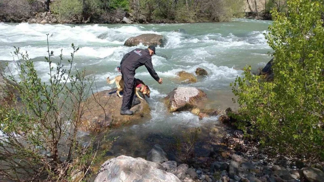 Munzur Çayı'nda bir genç daha bulundu