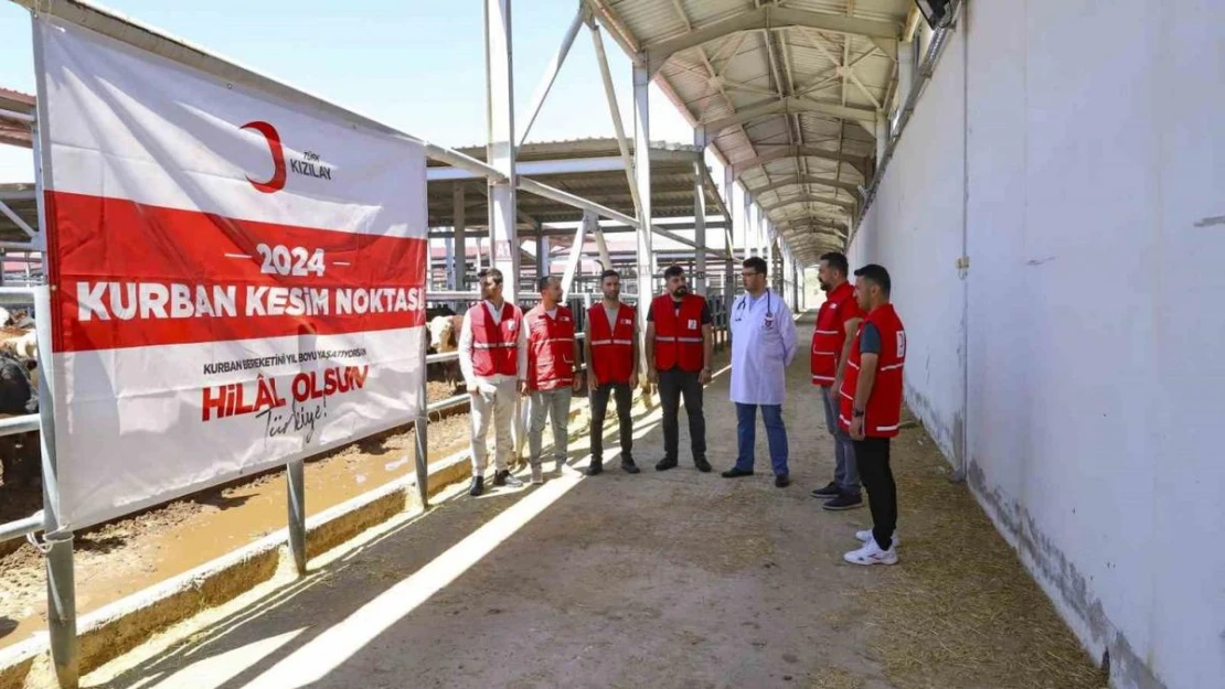 Türk Kızılay'ı yurtta ve 19 ülkede kurban kesimlerine başladı