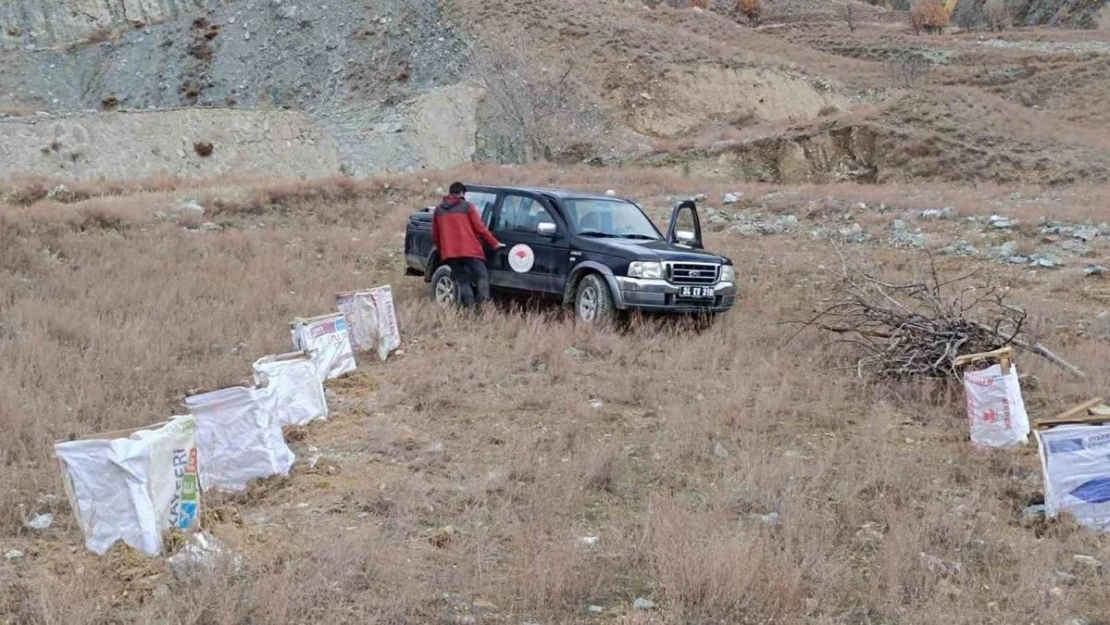 Tuz çalısı deneme sahası oluşturuldu