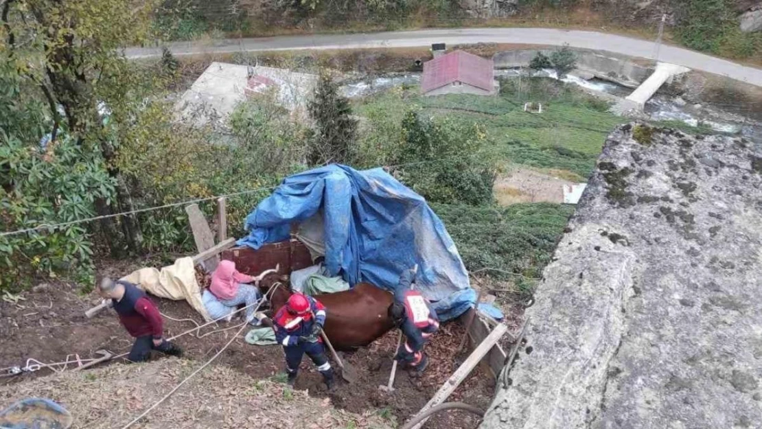 Uçurumdan aşağı düşerek mahsur kalan ineği itfaiye ekipleri kurtardı