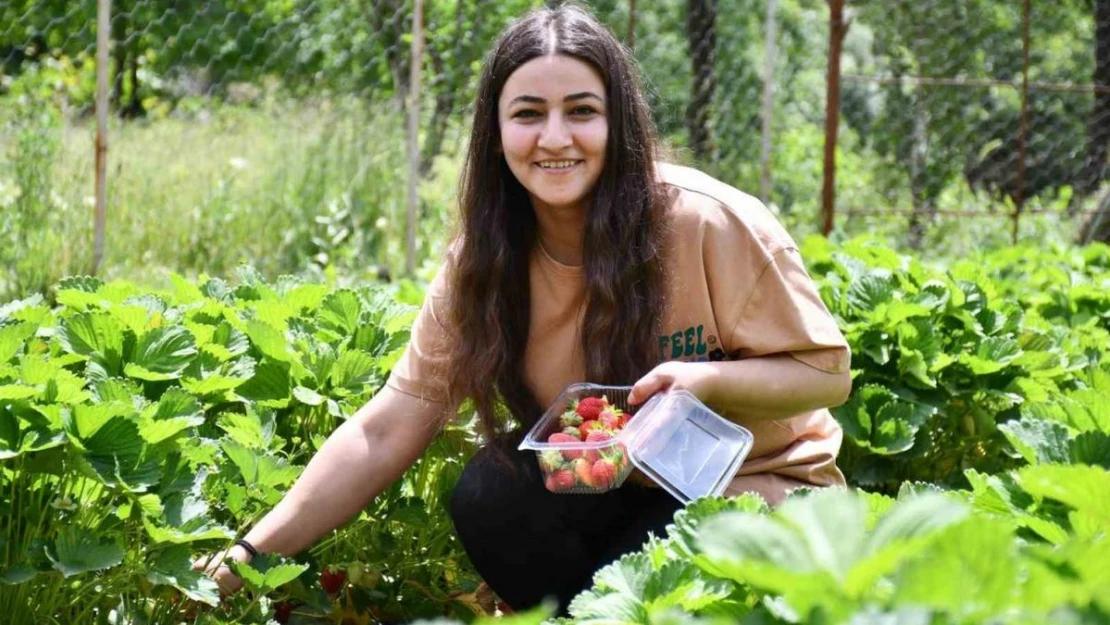 Uludereli tek kadın girişimciye devletten yüzde yüz hibe