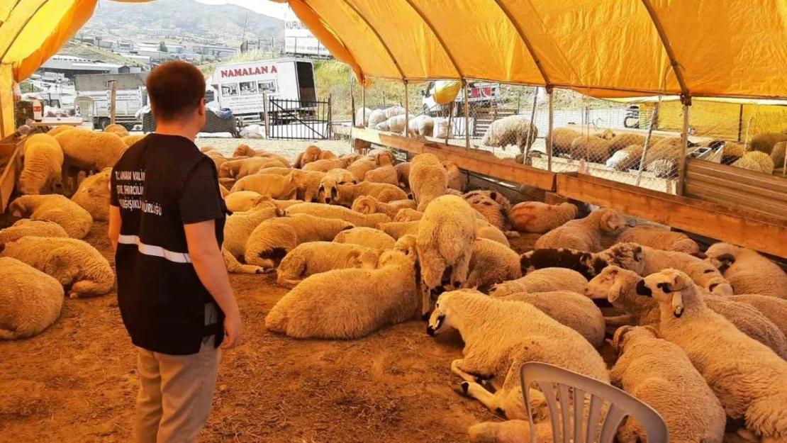 Umuma açık alanlarda kurban kesenlere ceza yağacak