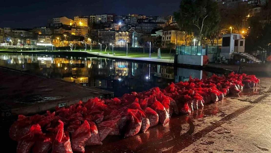 Üsküdar'da 6 ton kaçak midye ele geçirildi