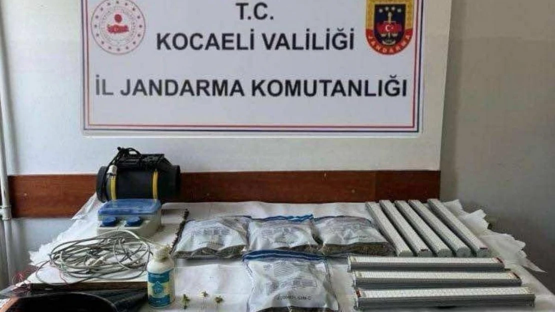 Uyuşturucu operasyonunda 11 gözaltı