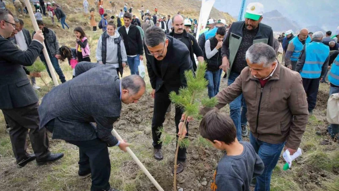 Vali Ali Çelik: 'Ağaçlar yağmura ve iyiliğe karşı açılmış bir dua'