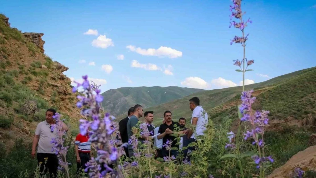 Vali Ali Çelik, Hakkari dağlarında su kaynağı aradı