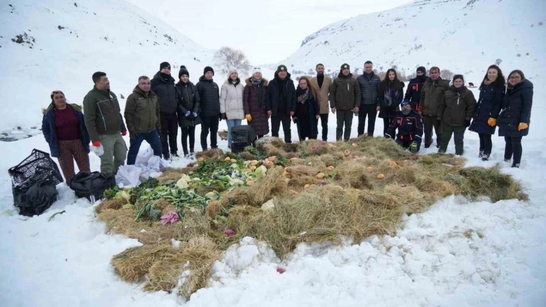 Vali Çakır, yaban hayvanları için karlı dağlara yem bıraktı