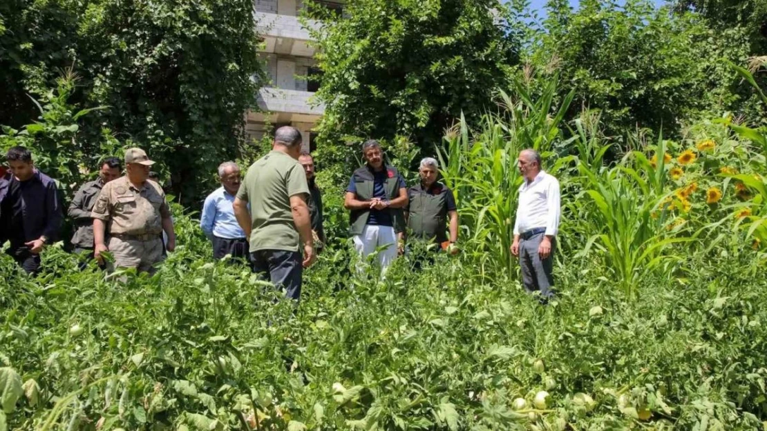 Vali Çelik: 'Hakkari'nin verimli toprakları değerlendirilecek'