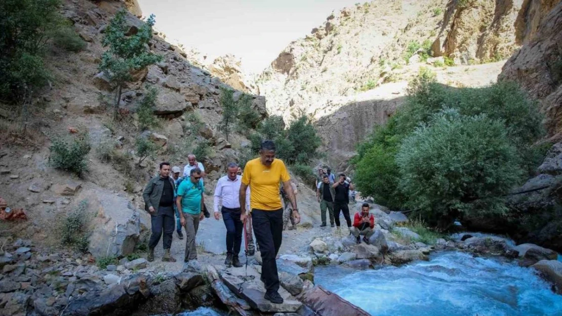 Vali Çelik 2 bin 300 rakımdaki su kaynağında incelemelerde bulundu