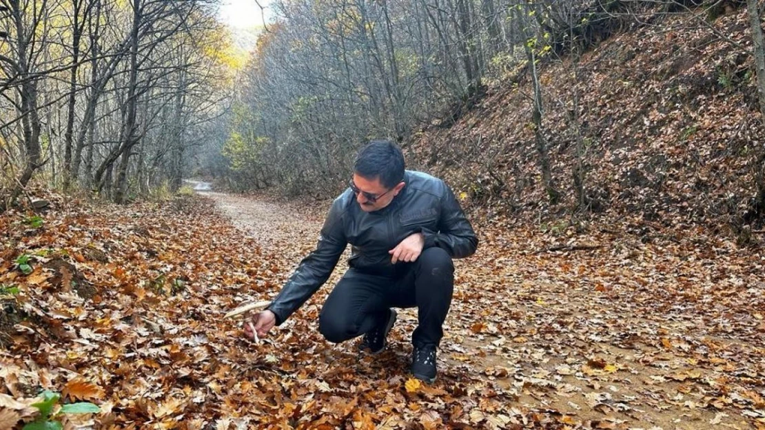 Vali Tekbıyıkoğlu, sonbahar güzelliğine bürünen Salördek'i ziyaret etti