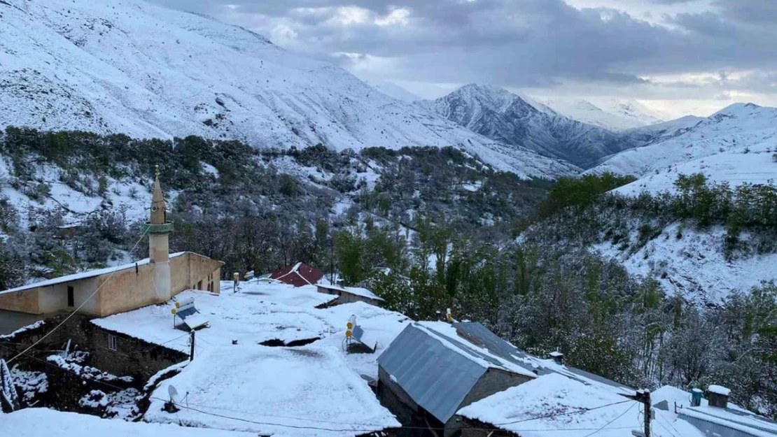 Van'a mayıs ayında lapa lapa kar yağdı