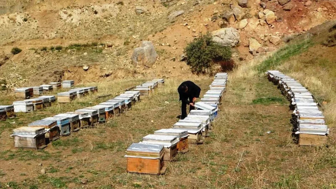 Van Arıcılar Birliği Yönetim Kurulu Üyesi Tandoğan: 'Van balı, kesinlikle hak ettiği yerde değildir'