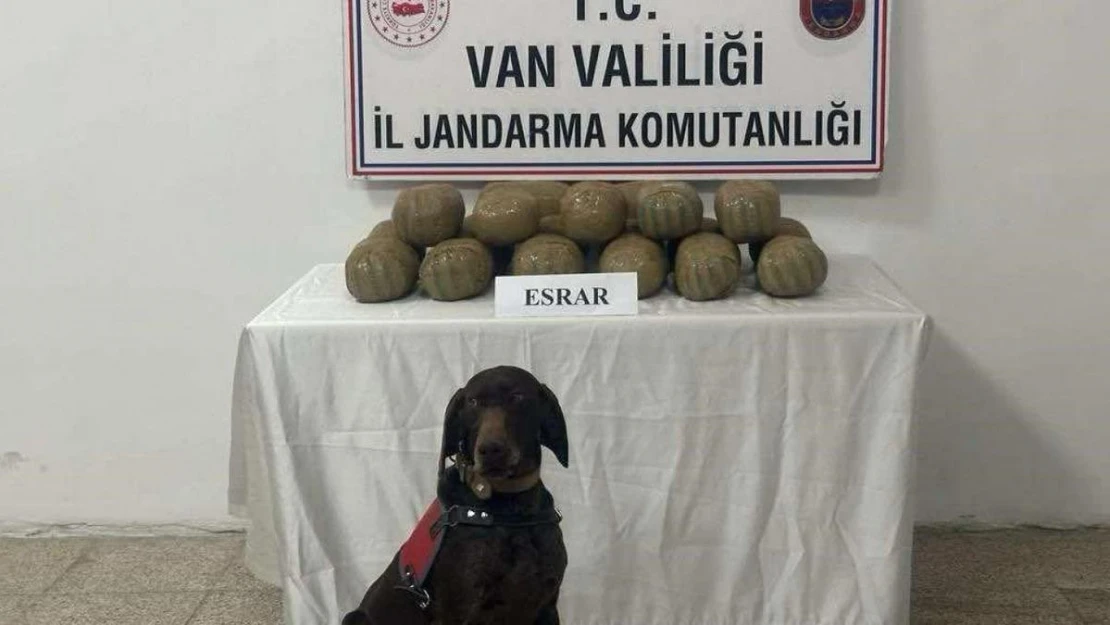 Van'da 50 kişi yakalandı