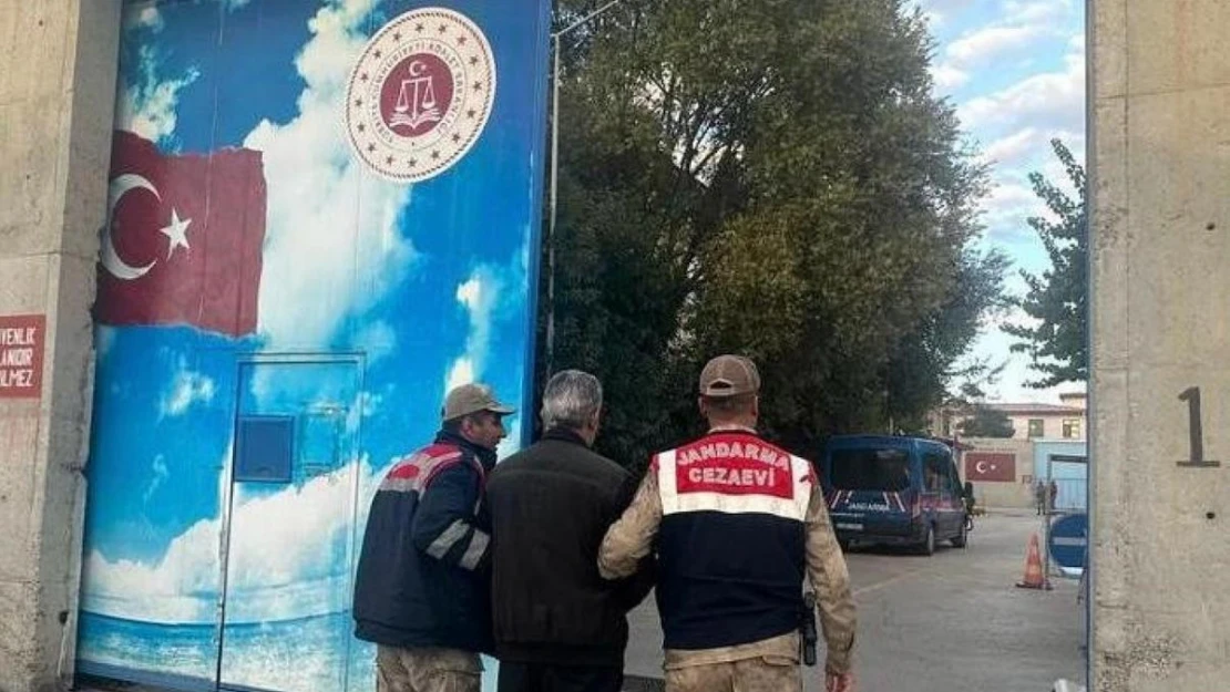 Van'da 54 kaçak göçmen yakalandı