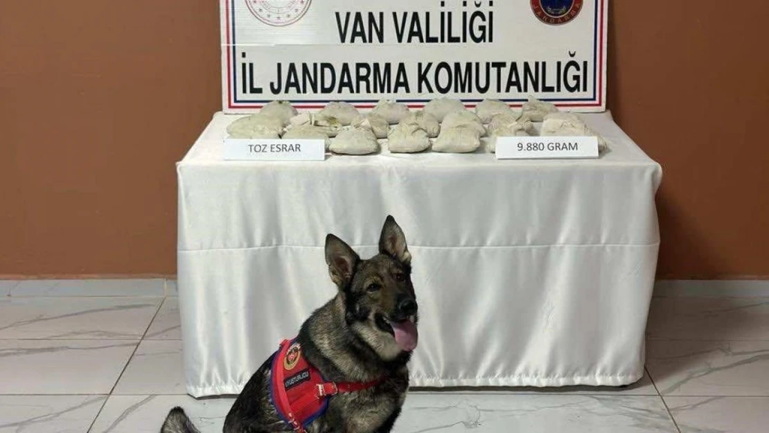 Van'da 9 kilo 880 gram toz esrar ele geçirildi