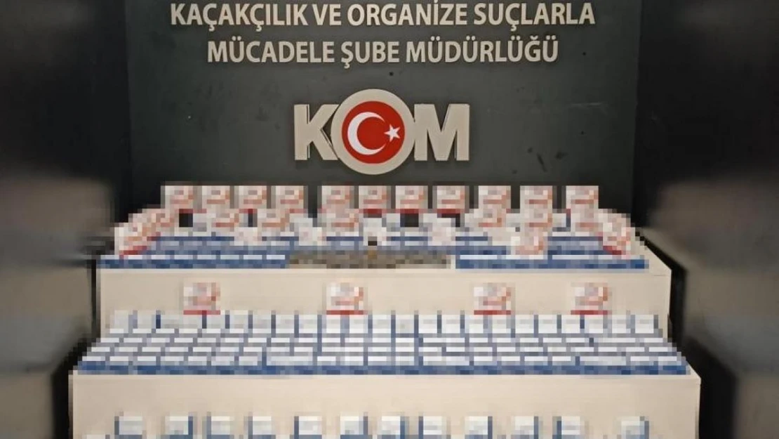 Van'da gümrük kaçakçılığı operasyonları