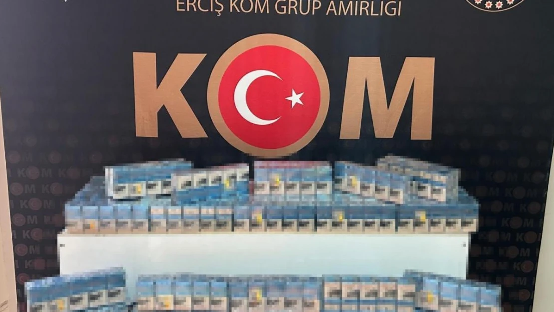 Van'da gümrük kaçakçılığı operasyonu