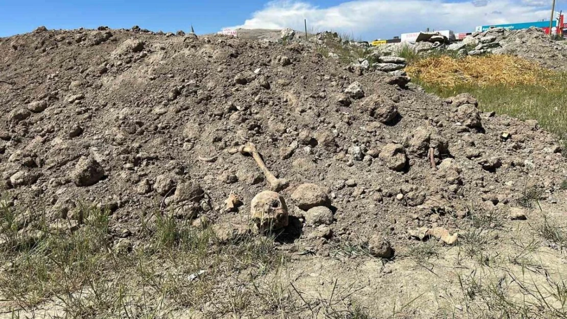 Van'da hafriyat atıkları arasında insan kemikleri bulundu