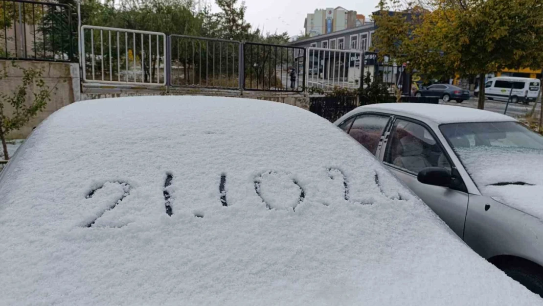 Van'da her yer beyaza büründü