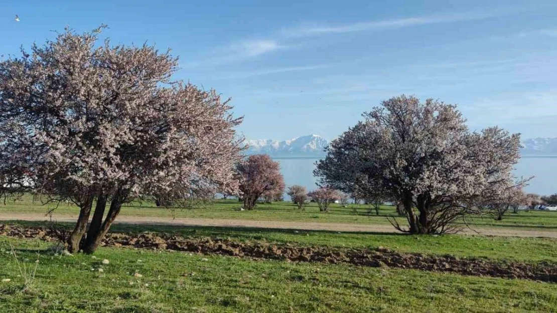 Van'da iki mevsim bir arada