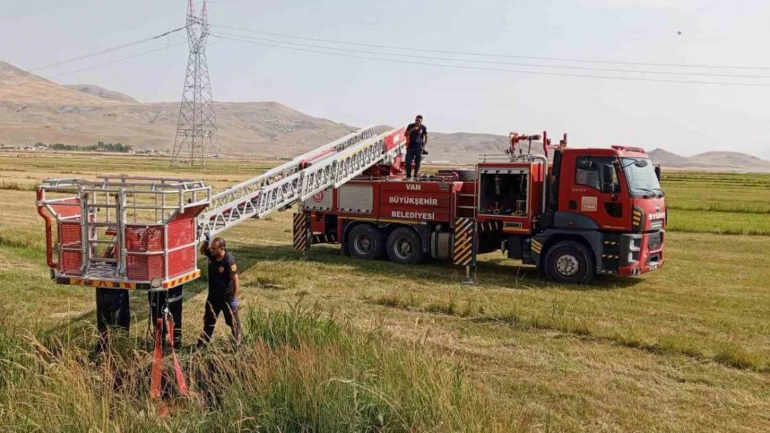 Van'da inek kurtarma operasyonu