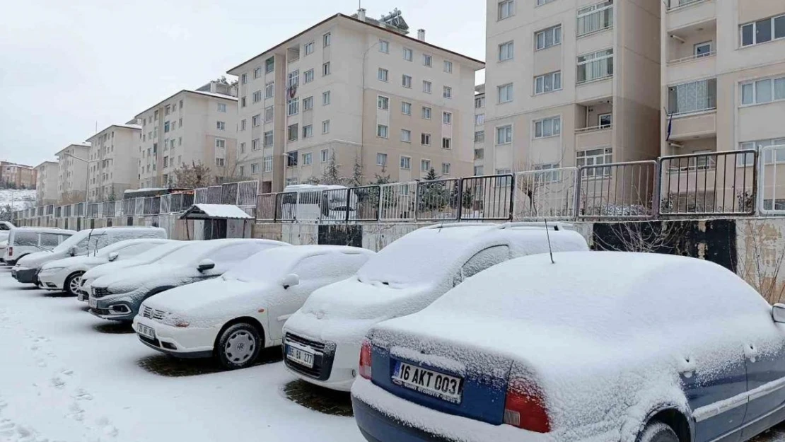 Van'da kar yağışı hayatı olumsuz etkiledi