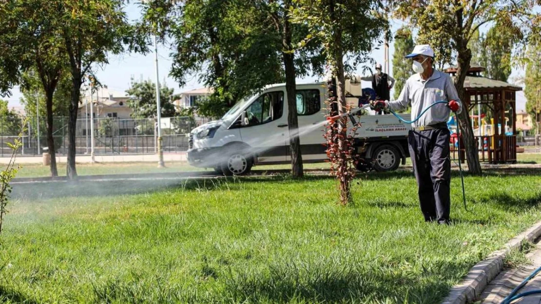 Van'da kent zararlılarına karşı ilaçlama çalışması