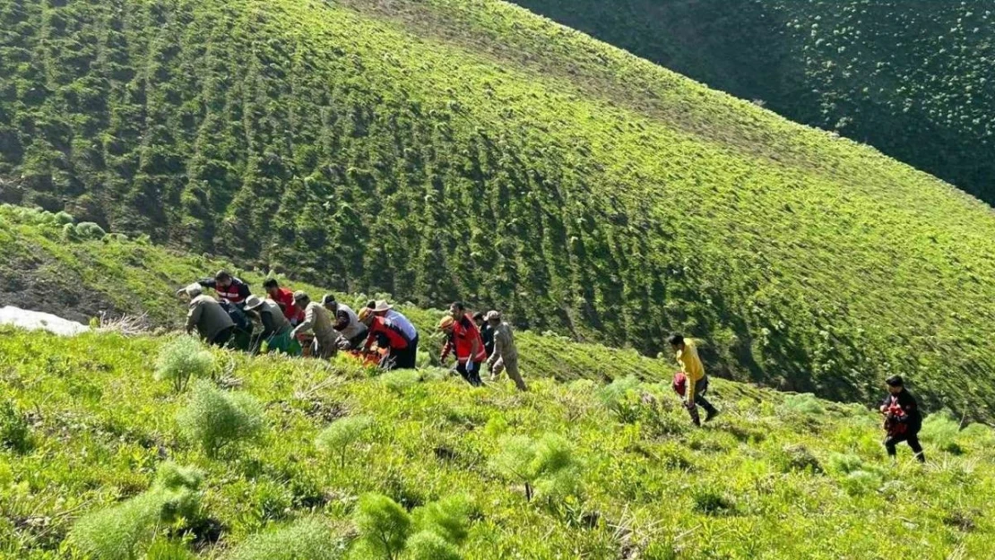 Van'da ot toplarken kayalıklardan düşen şahıs kurtarıldı