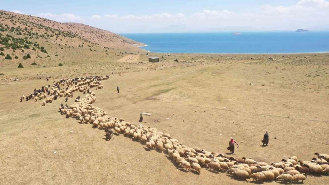 Van'da yaylaya güneş enerjisiyle su ulaştırıldı