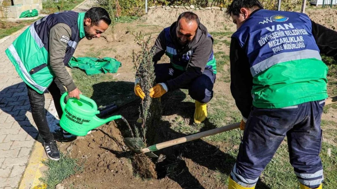 Van'daki 13 mezarlık alanına 3 bin 400 ağacın dikimine başlandı