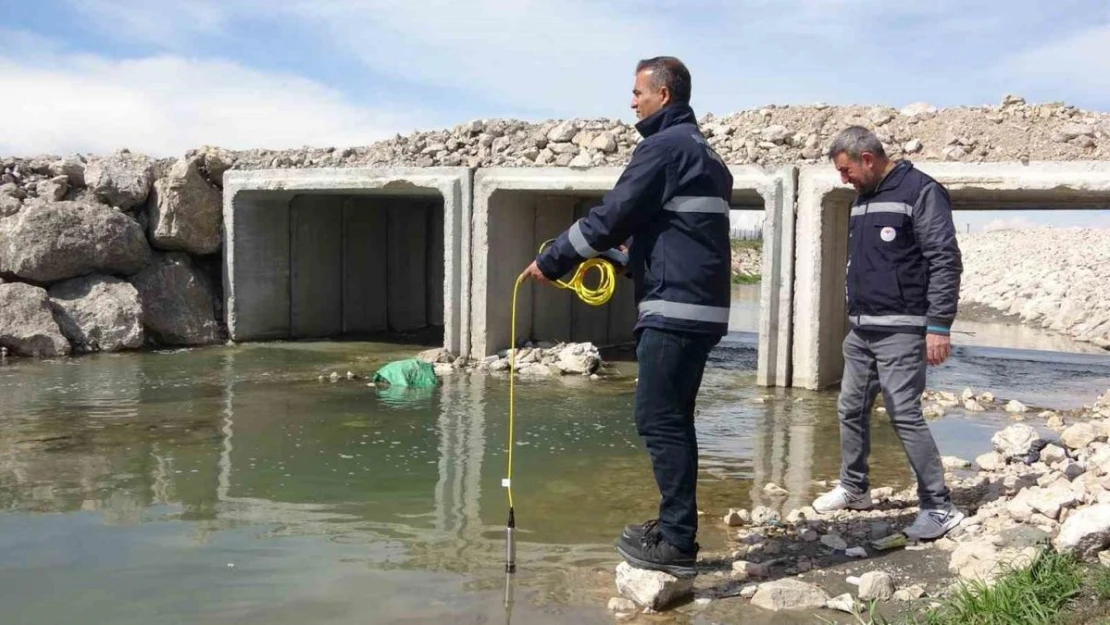 İnci kefalleri Van Gölü'ne geç veda edecek