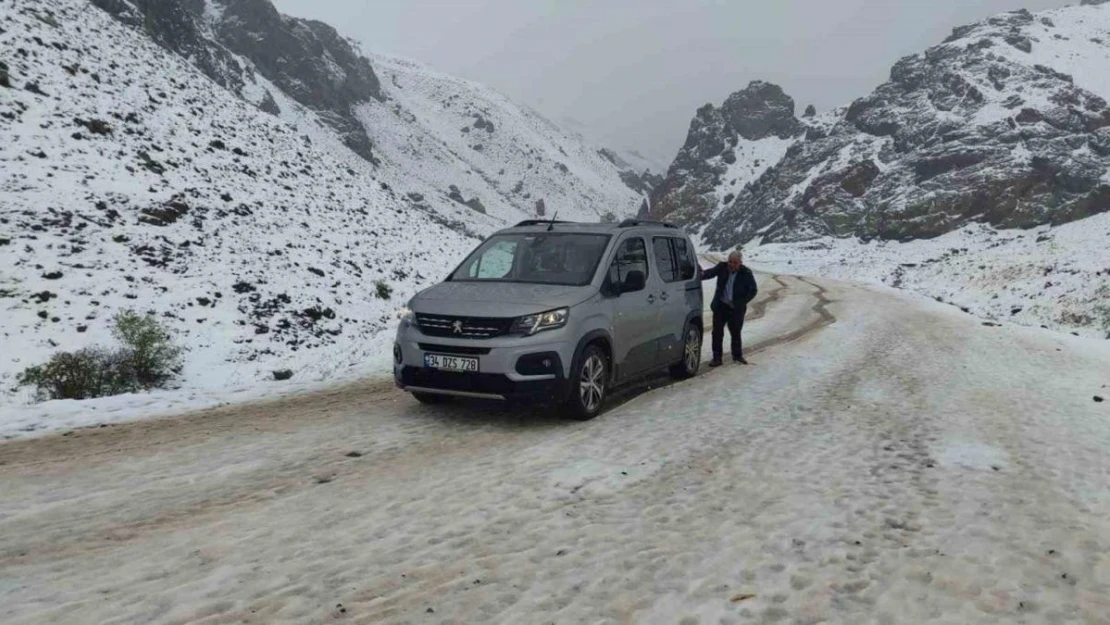 Van'ın yüksek kesimleri mayıs ayında kışı yaşadı