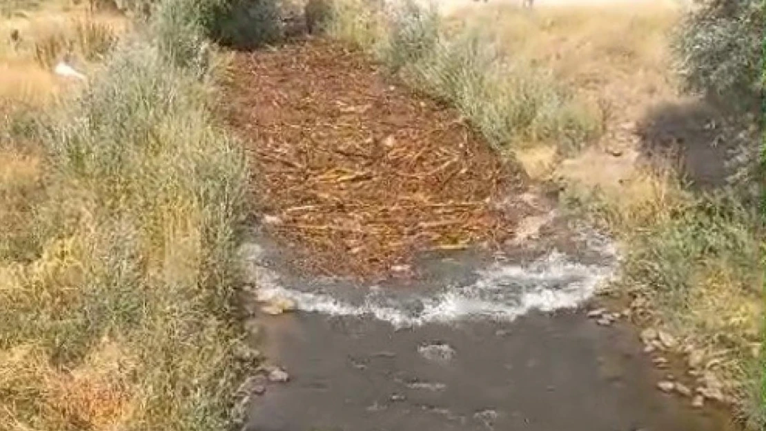 Varto'da dereler taştı, tarım arazileri sular altında kaldı