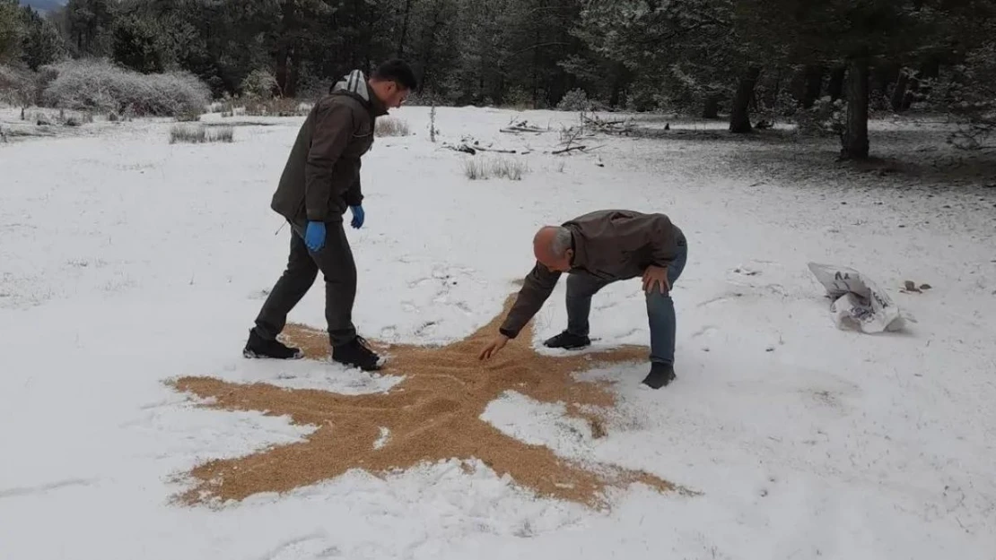 Yaban hayatı unutulmadı