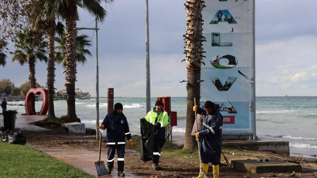 Yalova Belediyesinden fırtına temizliği