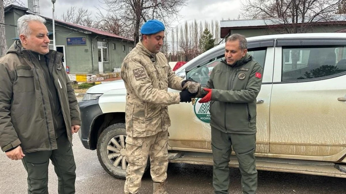 Yaralı atmacaya jandarma ekipleri sahip çıktı