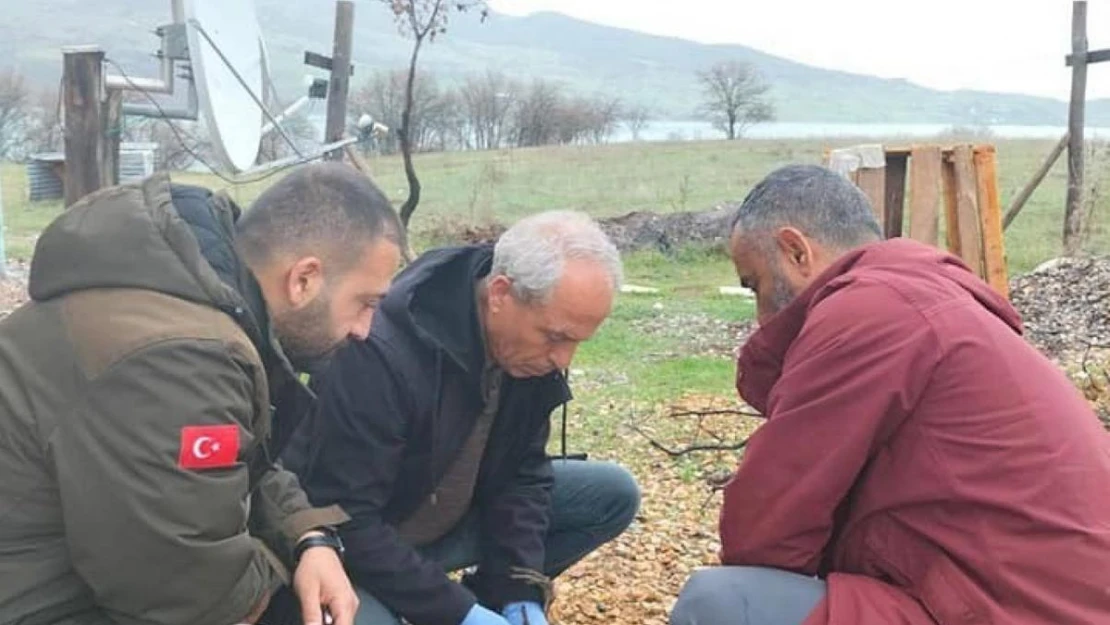 Yaralı gri balıkçıl kuşu, tedavi altına alındı