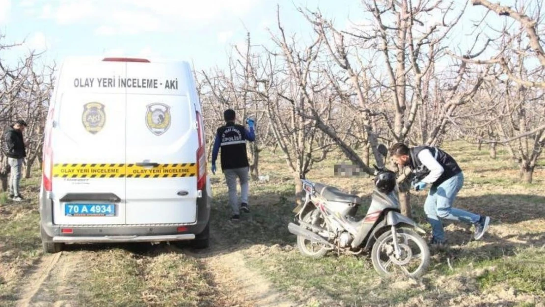 Yaşlı adam elma bahçesinde ölü bulundu