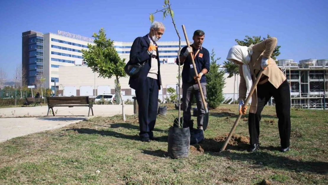 Yaşlılar tedavi gördükleri hastanenin bahçesine fidan dikti